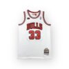 Chicago Bulls Legend